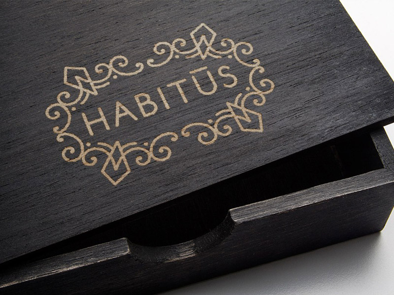 Logo Habitus2